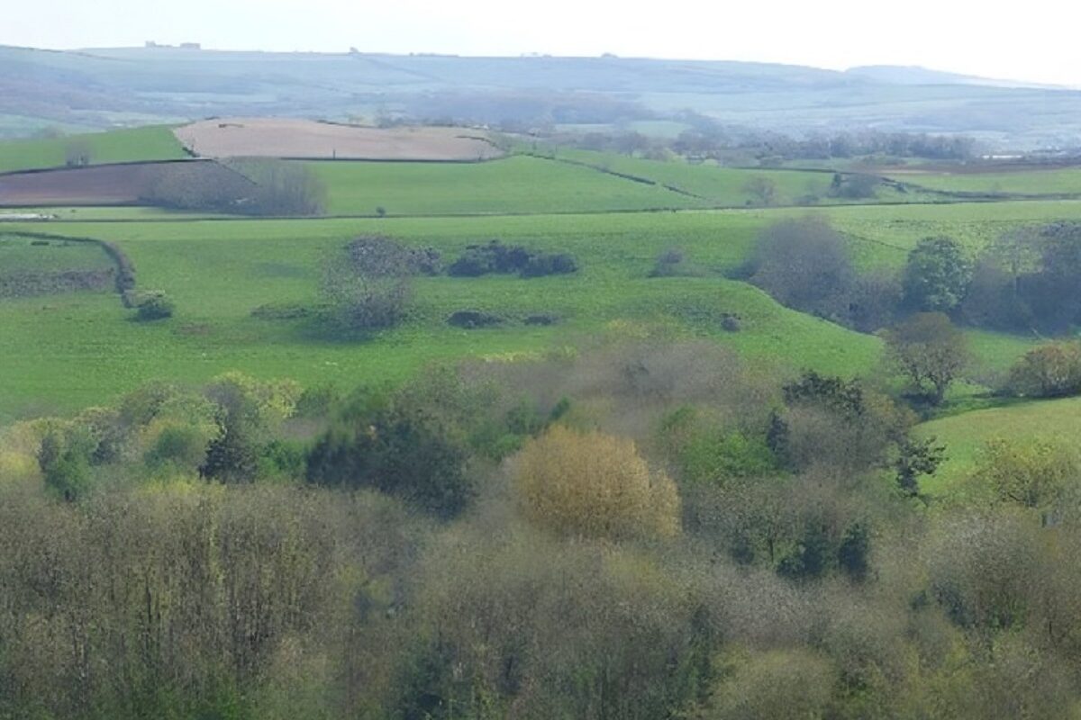 Burcombe hillfort
