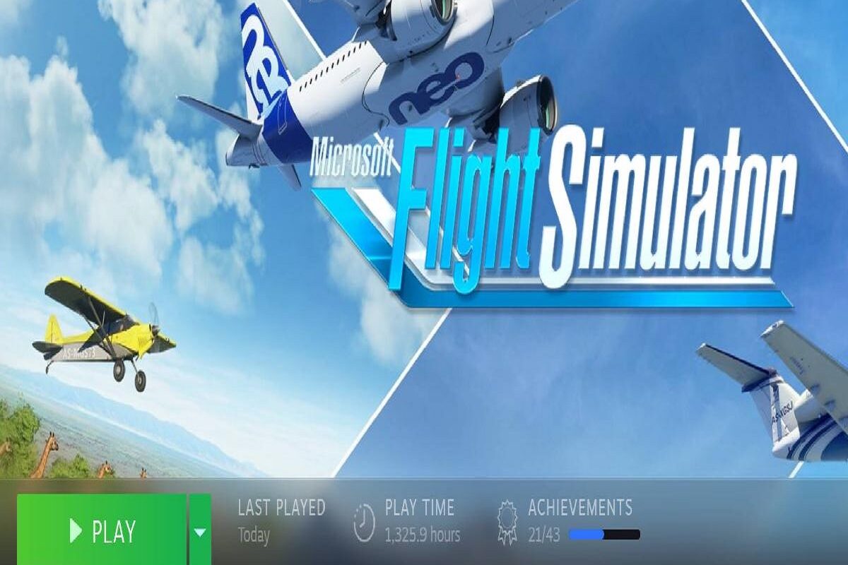 MS Flight sim
