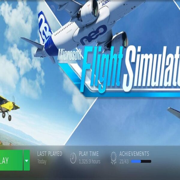 MS Flight sim