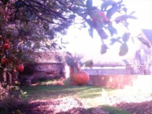 cache_6405126f41a_result