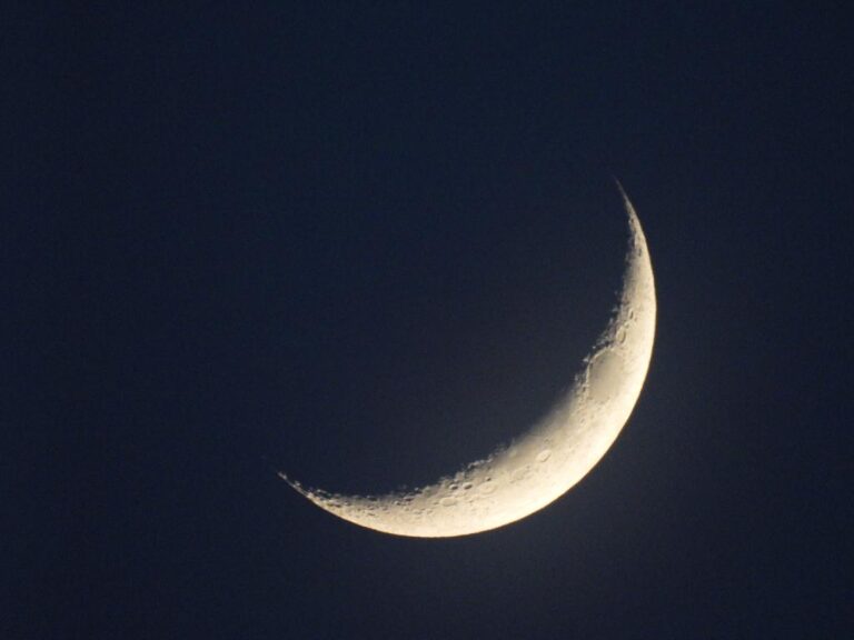 Moon Feat
