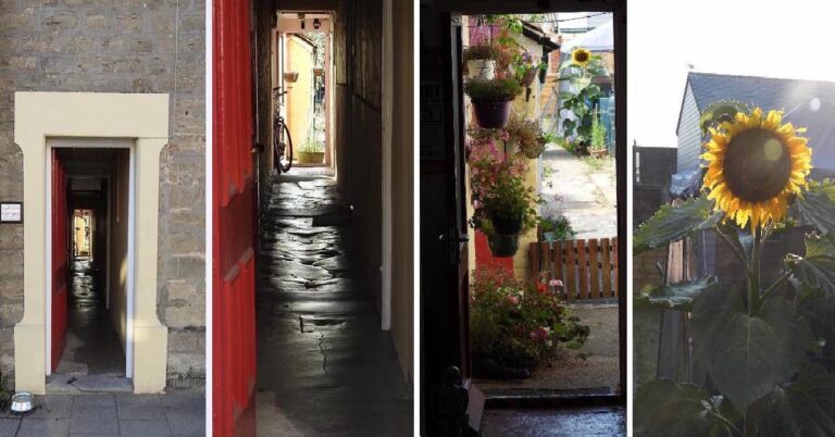 Passage s flower 4