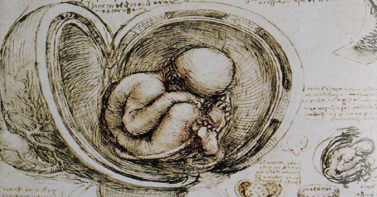Leonardo art