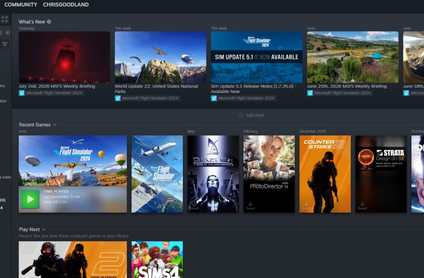 Steam
