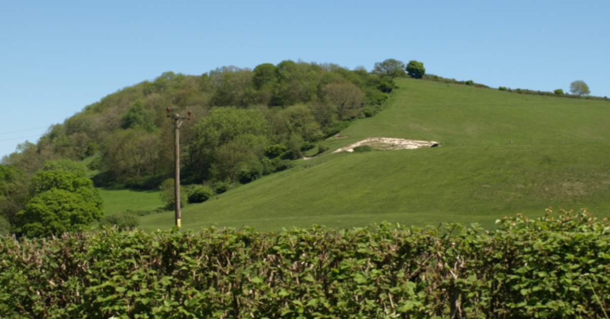 Nettlecombe Tout hillfort FEATURE